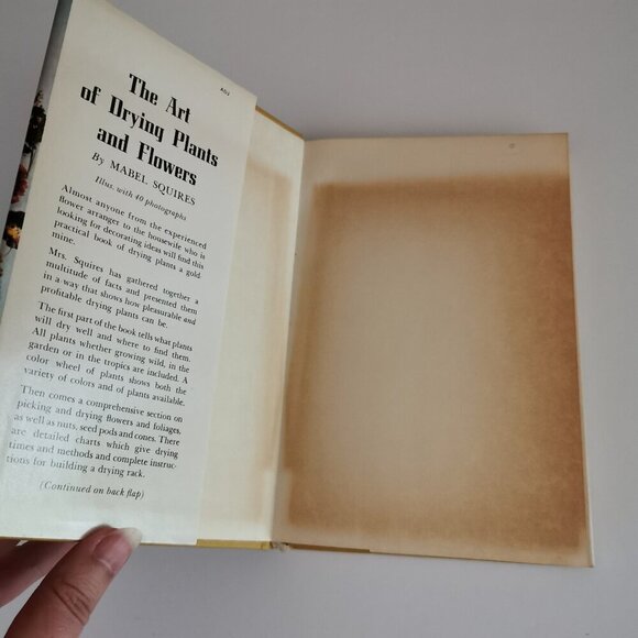 1958 The Art of Drying Plants & Flowers Book Vintage Mabel Squires Yellow Cover - Picture 4 of 11